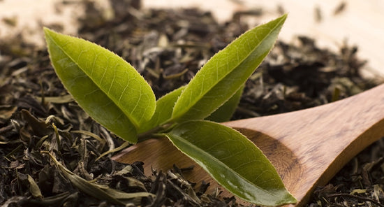 teeblätter mit löffel in bioqualität