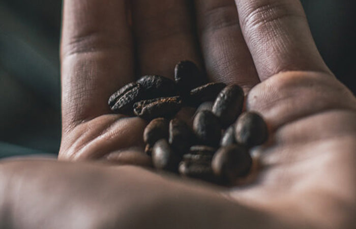espressobohnen in der hand für einen perfekten espresso in der tasse
